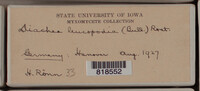 Image Associated With the Occurence